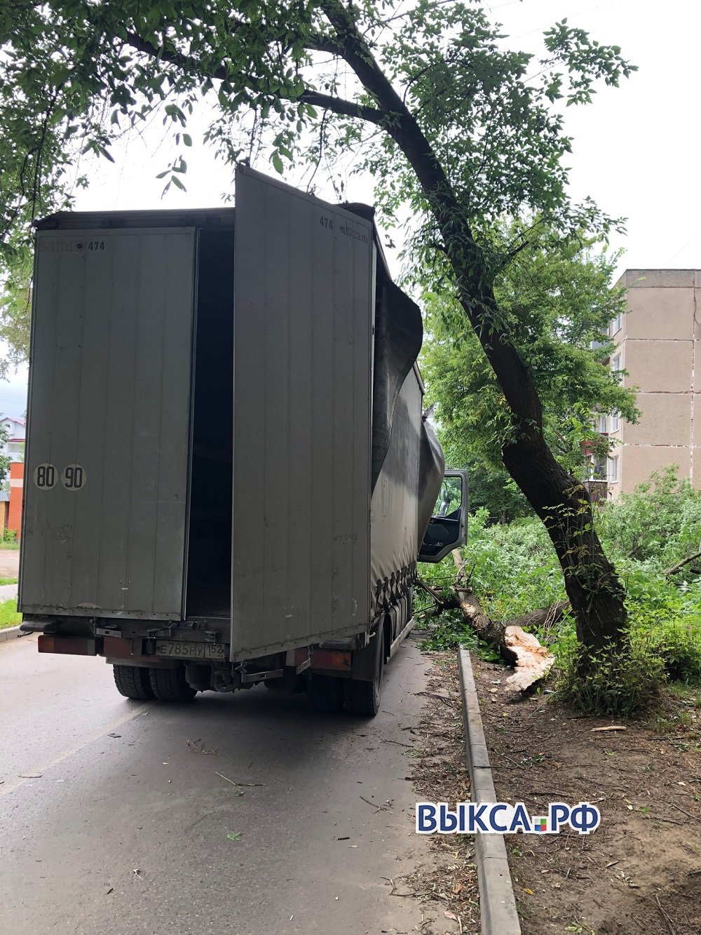 Дерево упало на грузовик во время движения